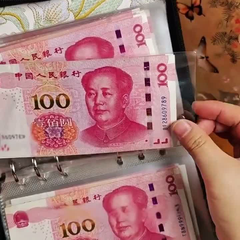 Cash placed into a transparent organizer sleeve