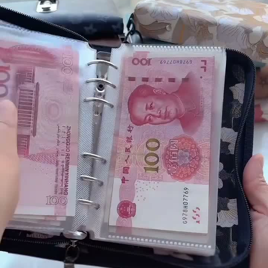 Transparent cash sleeves and six-ring binder mechanism