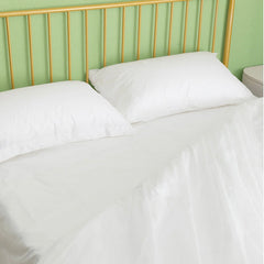 Disposable Bedsheet
