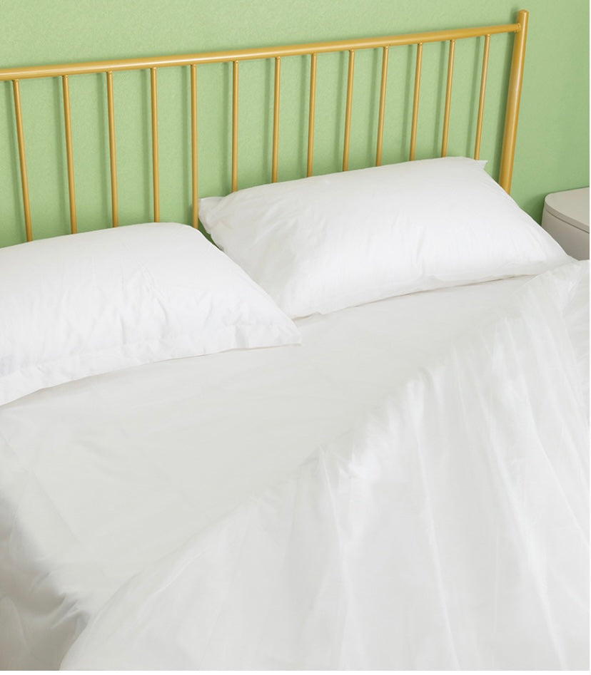 Disposable Bedsheet