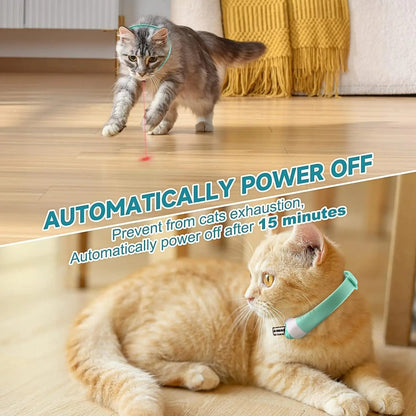 Cat Laser Pointer Belt