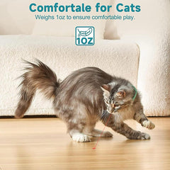 Cat Laser Pointer Belt