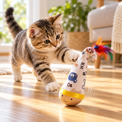 Cat following the wobbling pet toy