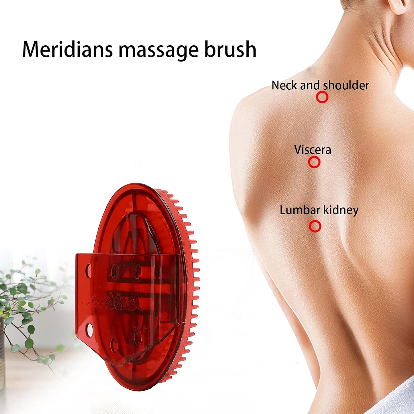 Magnetic Massage Brush(Pack of 2)